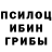 Галлюциногенные грибы мицелий jab1347