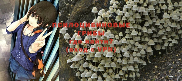 ALPHA PVP Баксан