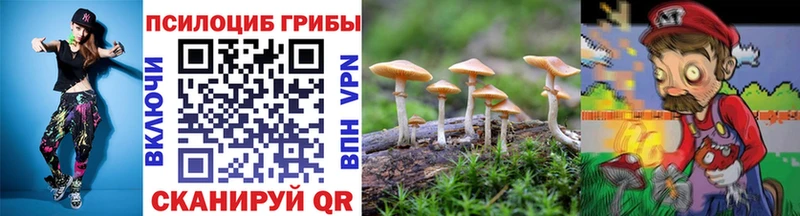 Псилоцибиновые грибы Psilocybine cubensis  наркошоп  Белоусово 